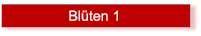 Blten 1