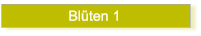 Blten 1